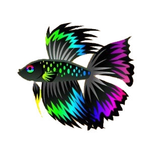 Rainbow Sparkle Blackfin